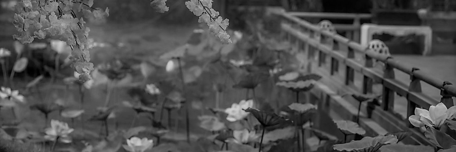 YU🦋 banner