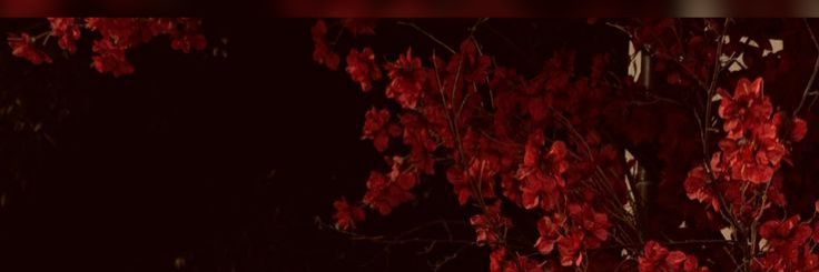 GIXilazy's profile banner image