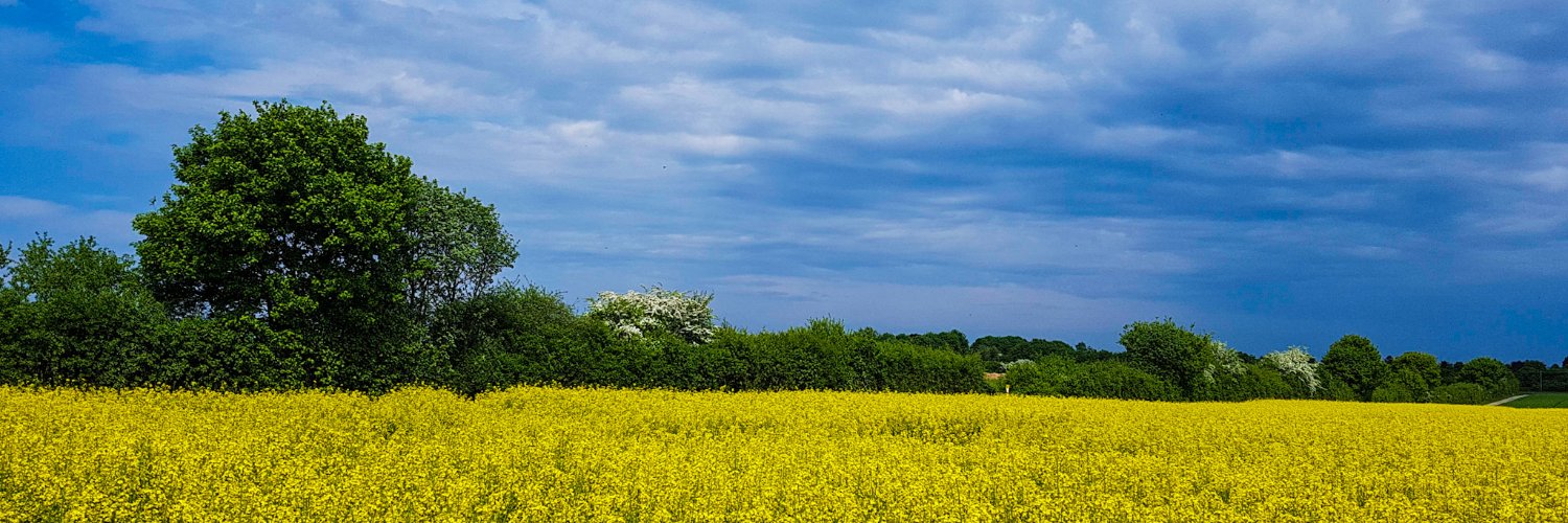 KFortunaT's profile banner image