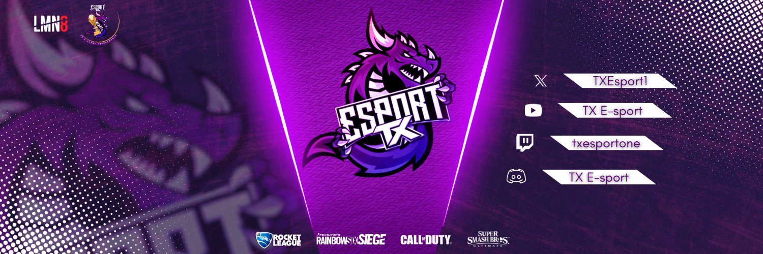 TX- Ledbi banner