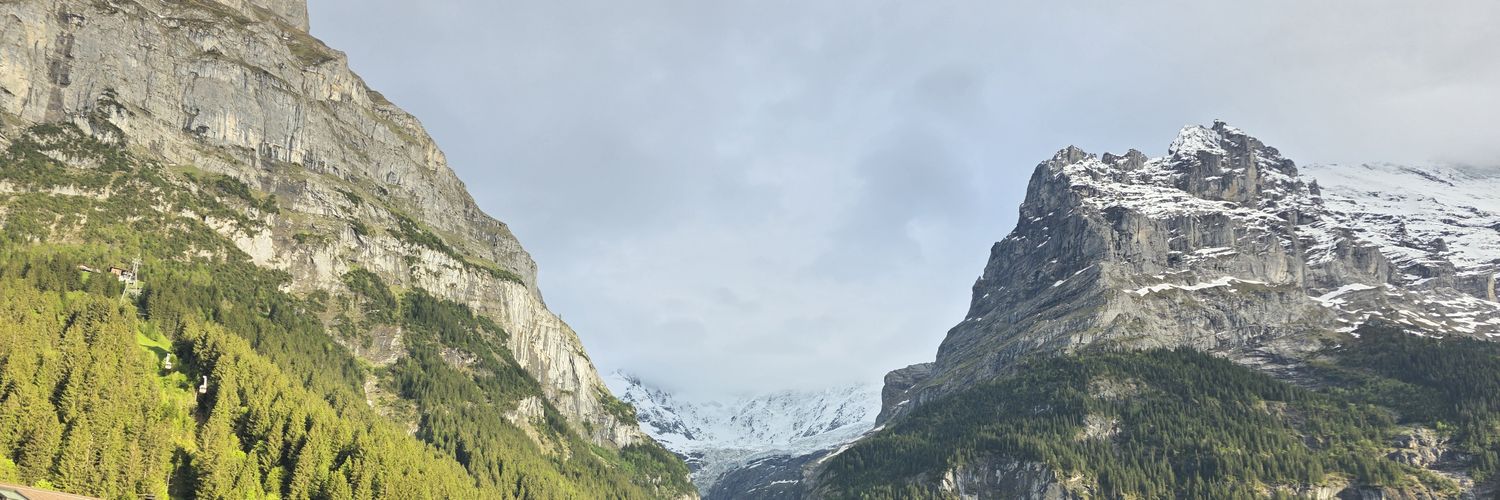 El_TurcoWolk's profile banner image