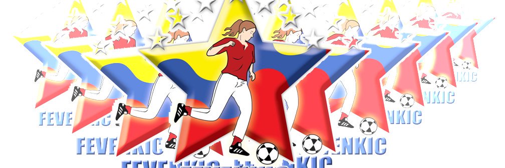 Federación Venezolana de Kickingball banner