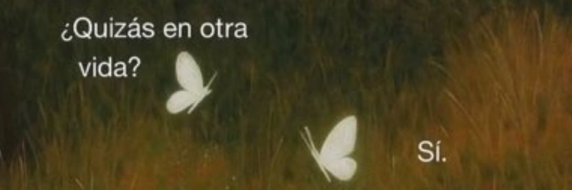 Gilga4Ever's profile banner image