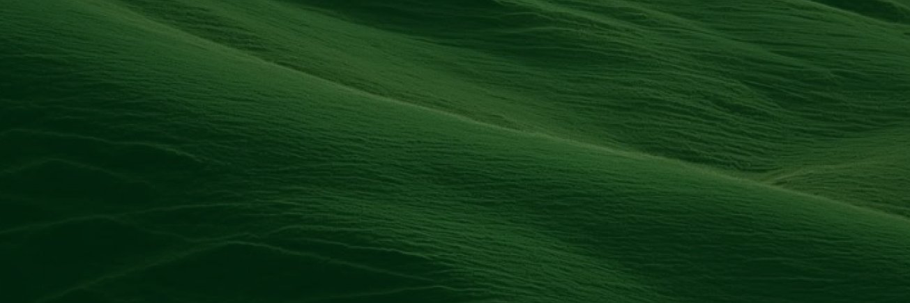 guo's banner