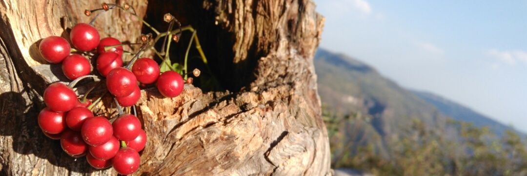 willycasper's profile banner image