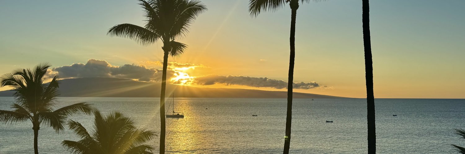 Ken Hayashida banner