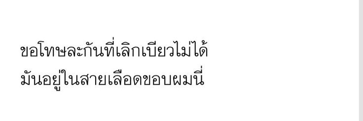 / banner