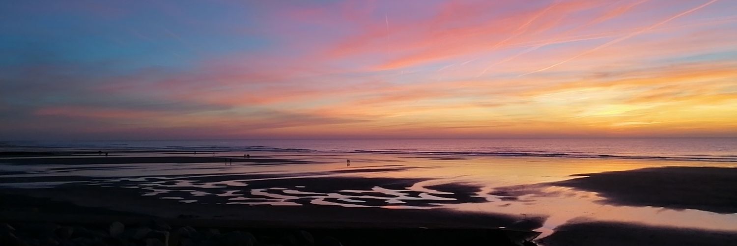 AngelineMoulin1's profile banner image