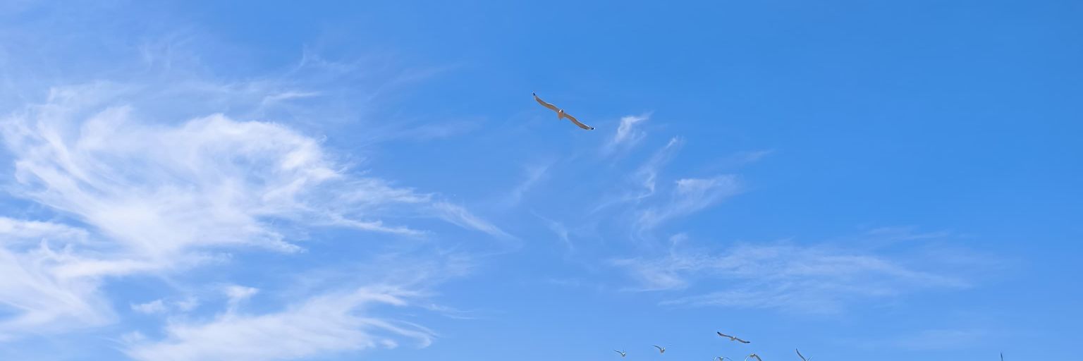 bexo69's profile banner image