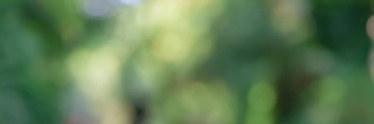 0xFida.lens.bnb (💙,🧡) 🌘 banner