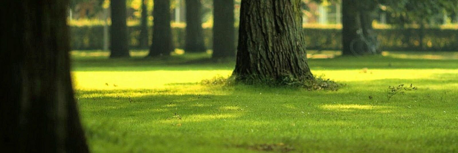 Carlo Daffara banner