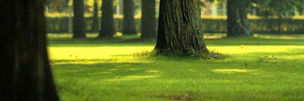 cdaffara Profile Banner