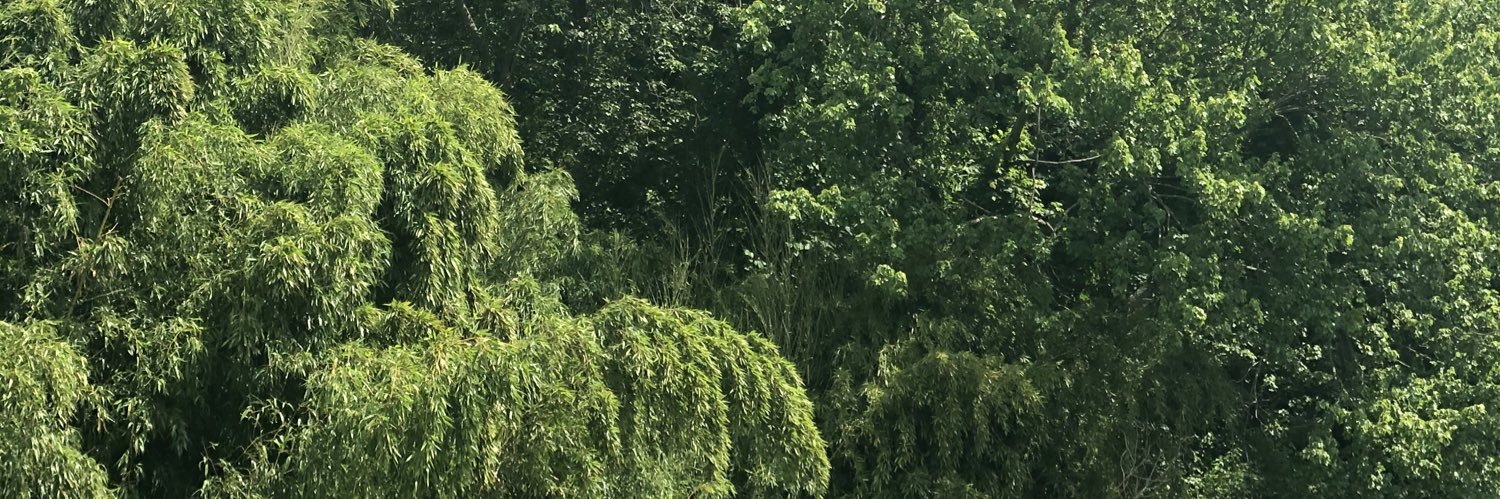 AsToldByTorrie's profile banner image