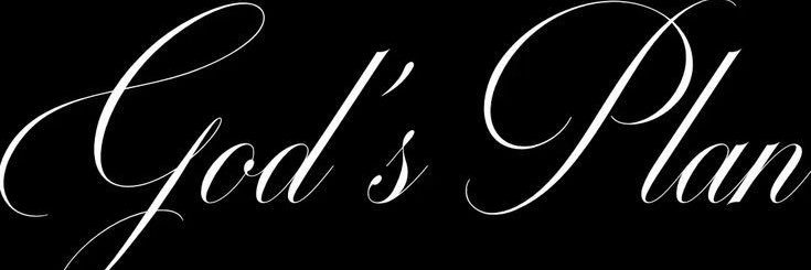 palazzoiari's profile banner image
