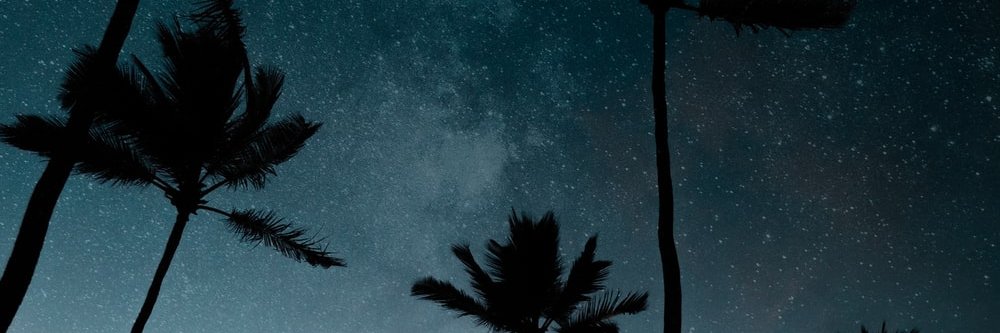 teaaddict's profile banner image
