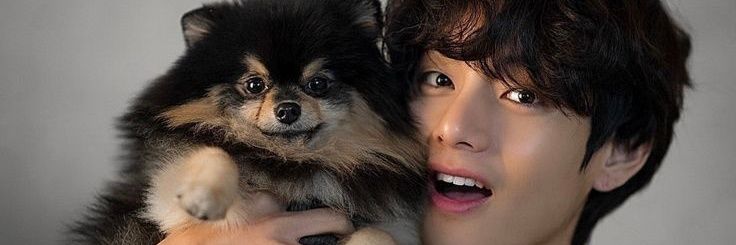 pk_winter_bear's profile banner image