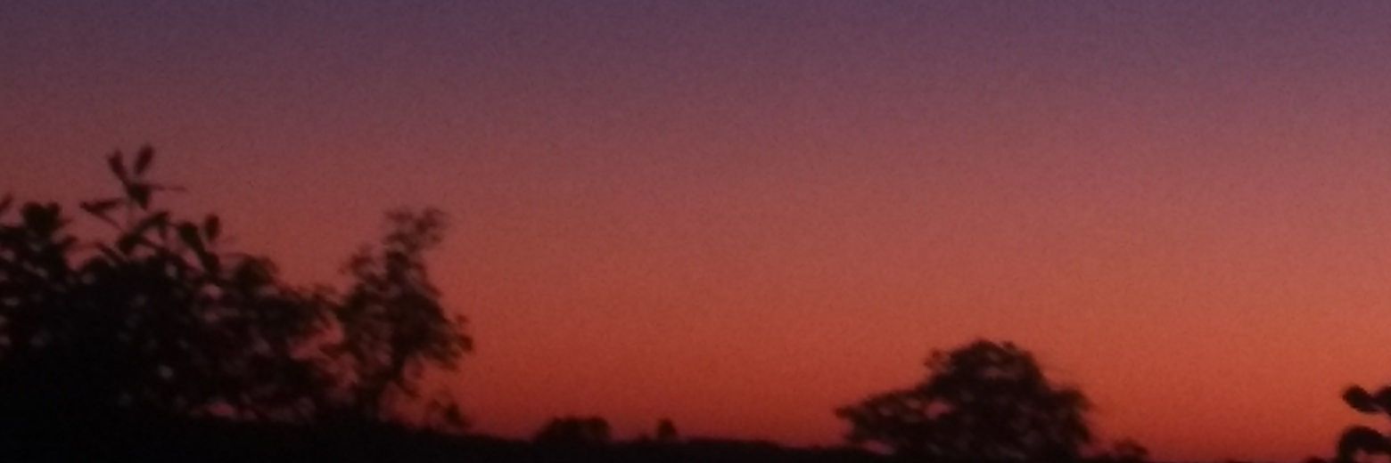 MarceloKusik's profile banner image