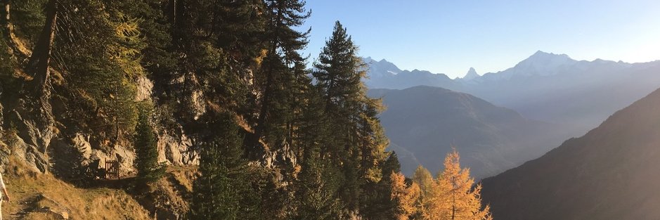 Matthieu Perrenoud banner