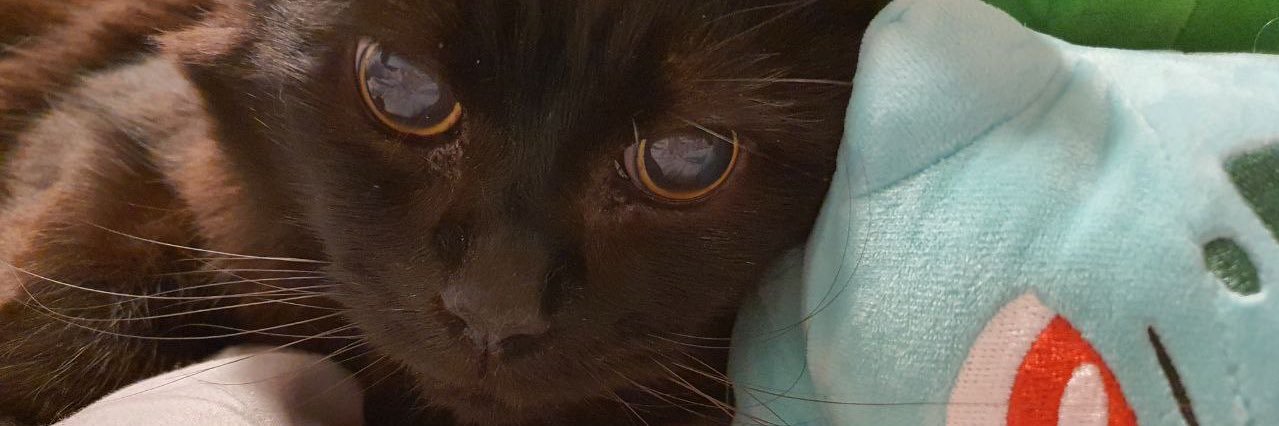 ㊙️ 什ロ尺ﾉ乙ロ几ㄈロ刀モ banner