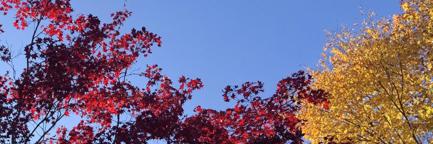 kehulse's profile banner image
