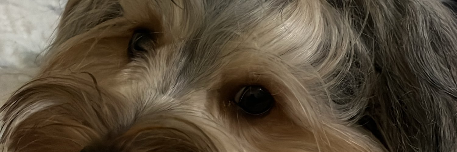 gabimarqus's profile banner image
