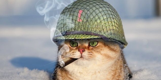 nathanwalker567's profile banner image