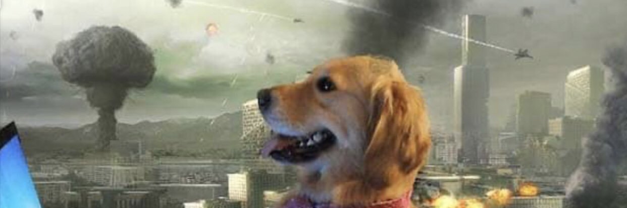abbywerkowski's profile banner image