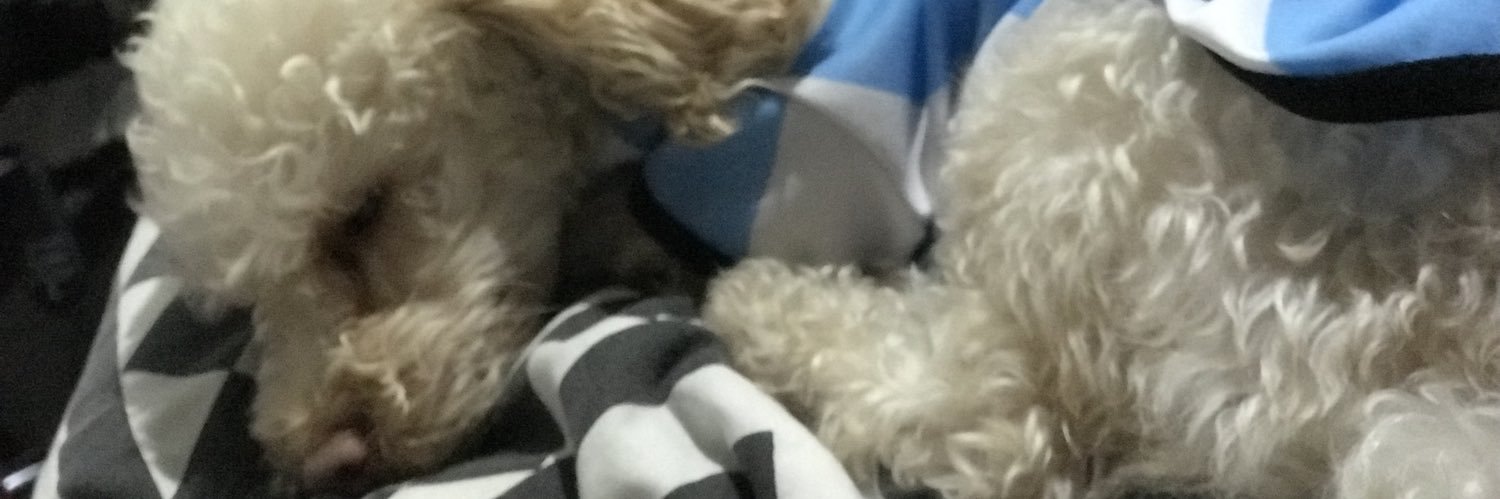 anapauOk's profile banner image