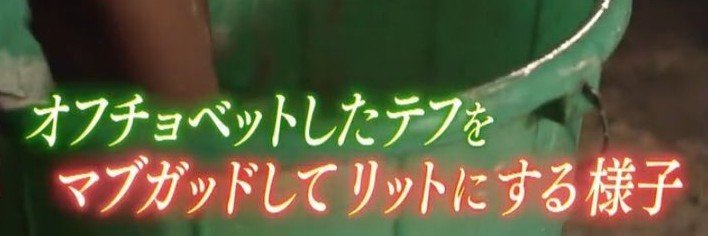 からふね banner
