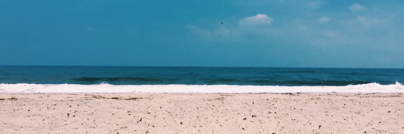 carovelezg's profile banner image