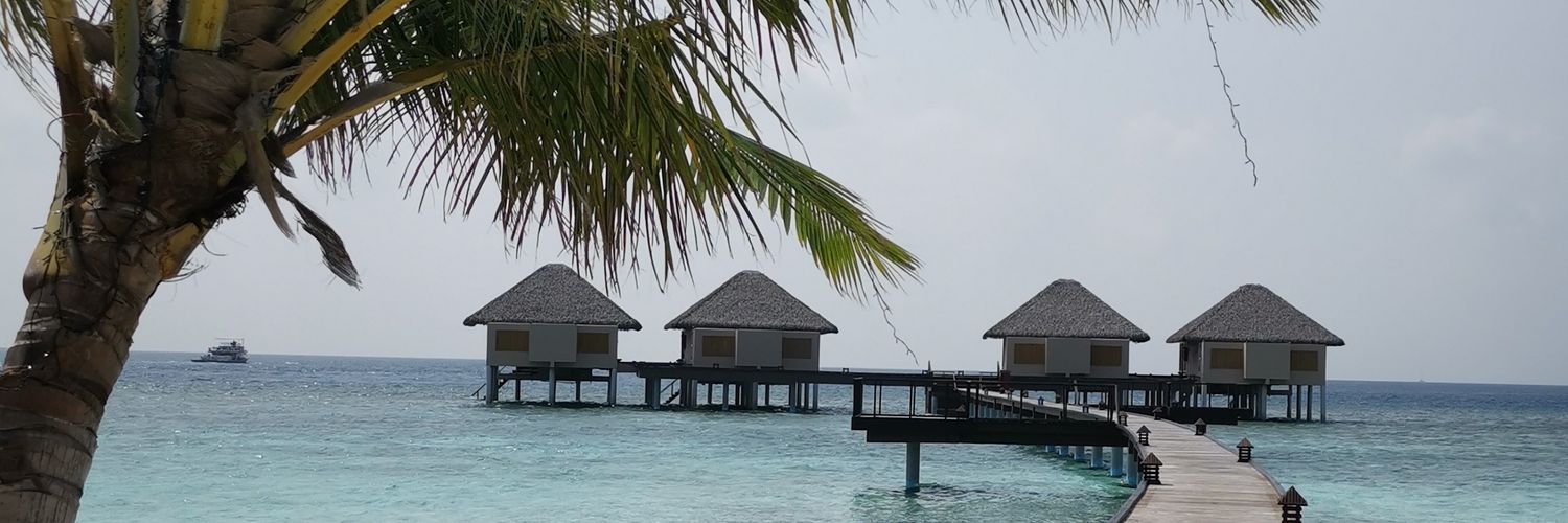 HebaB's profile banner image