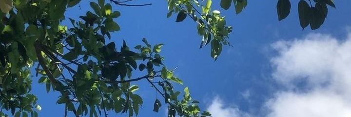 R banner