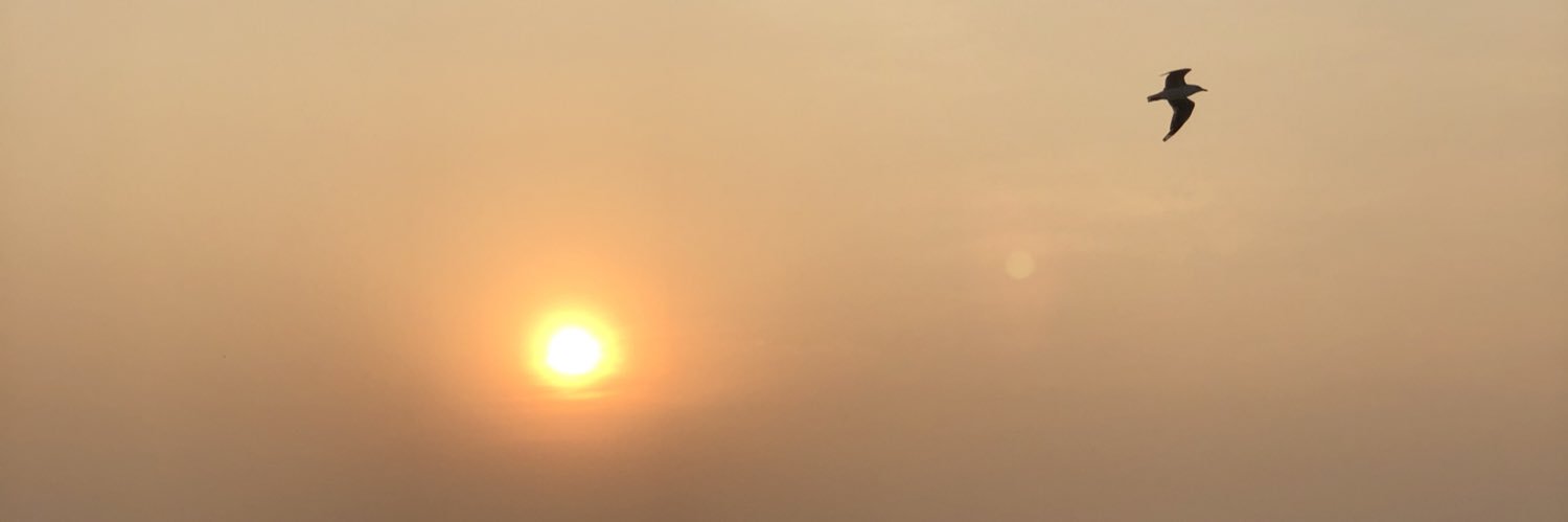 paulstef's profile banner image