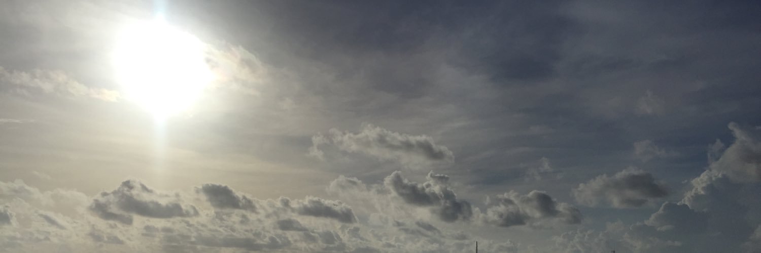 _queenzil's profile banner image