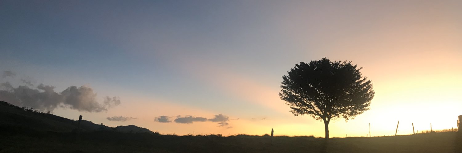 adrianacutiva's profile banner image