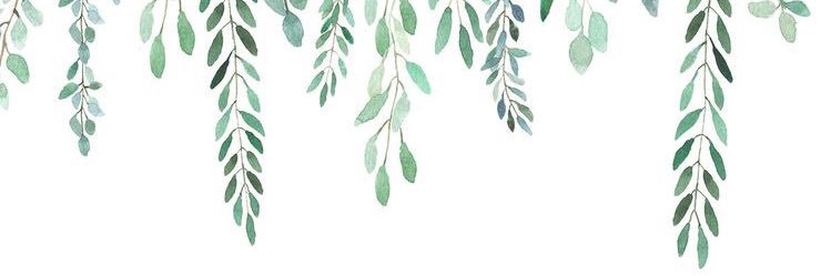 ThePatchGuelph's profile banner image