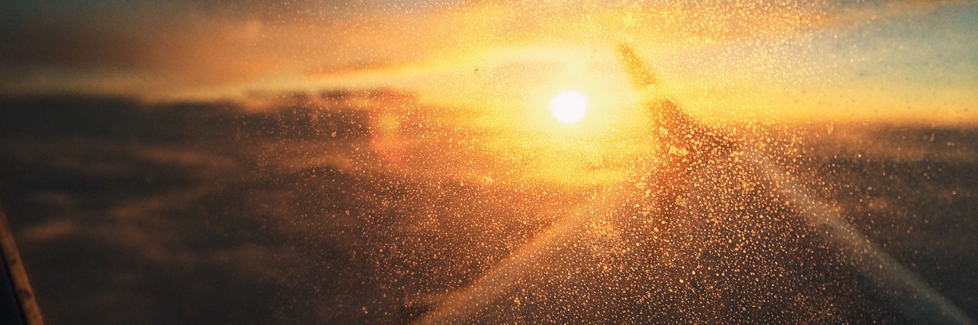 Maciej Biłas banner