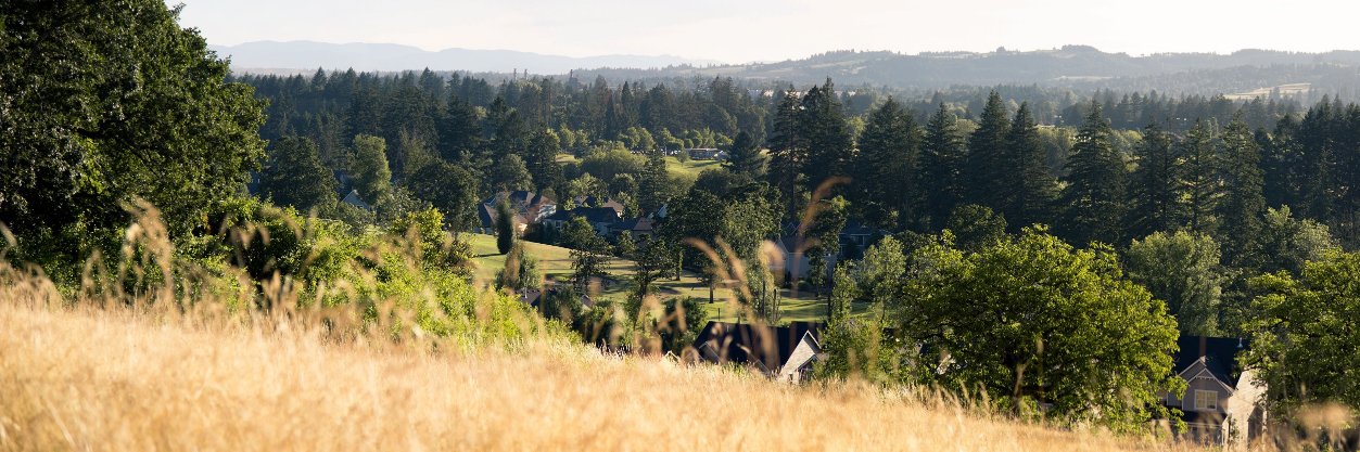 Chehalem Park & Rec banner