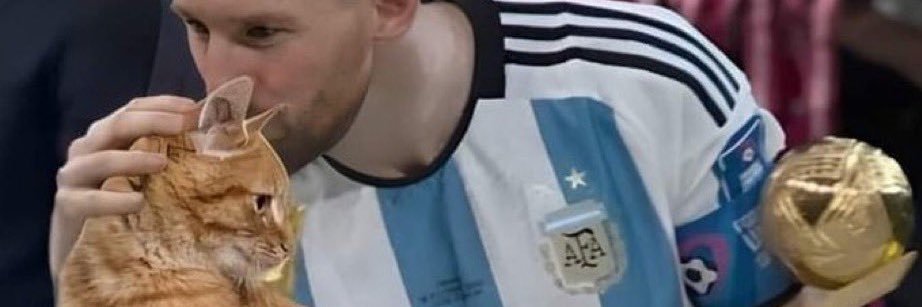 Floralfonso's profile banner image