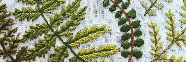 platycerium bifucartum 🇵🇸 banner