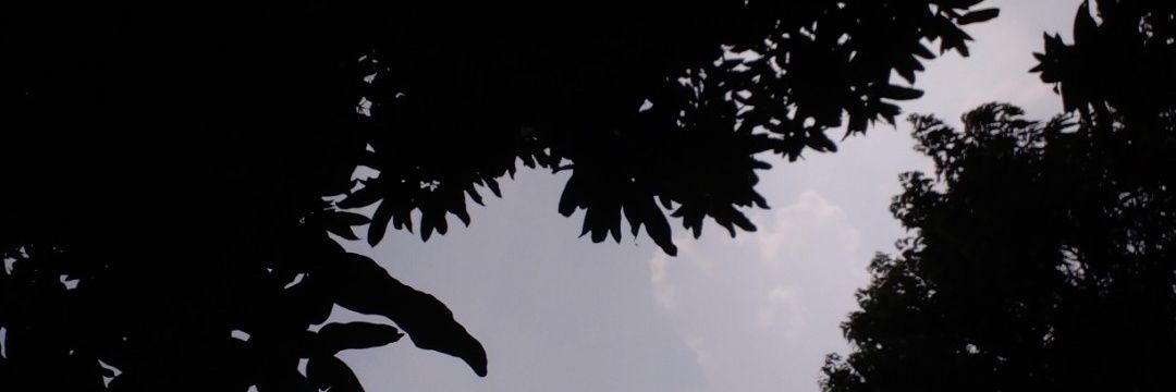 Back up acc @deeanski's banner