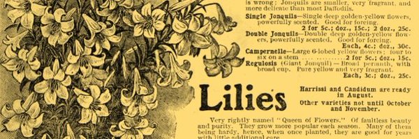 M3owthKai Profile Banner