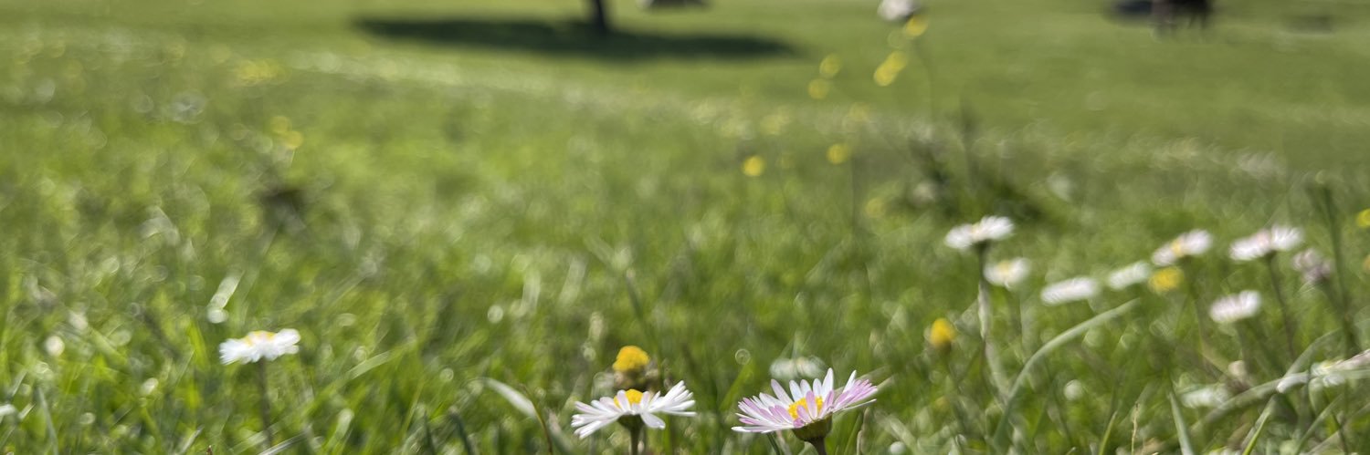 okn_pk's profile banner image