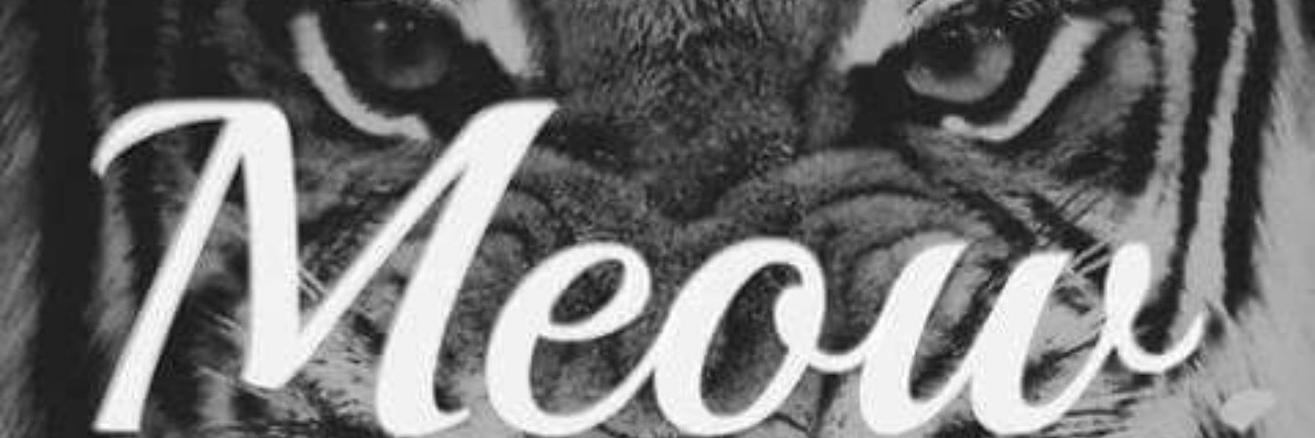 Lesliesask's profile banner image