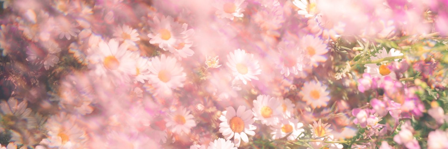 小春ハルカ| haruka koharu's banner