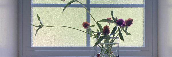 RealHanyaHu Profile Banner