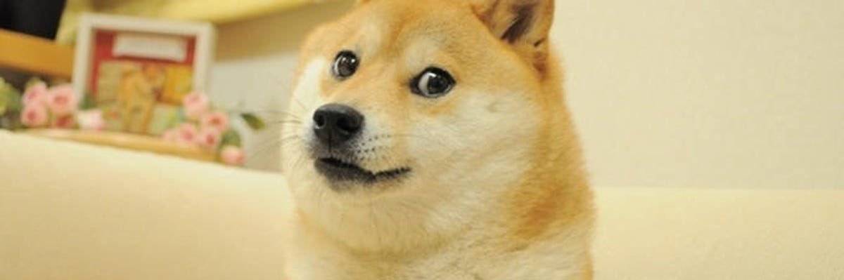 senge_mini's profile banner image