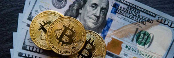 pl_inversor Profile Banner