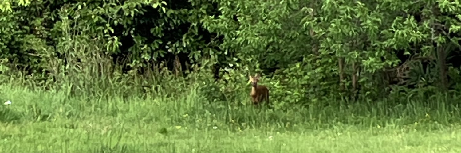 Isabelle Lasnier 💛💙 🎗️🇫🇷🥖☕️ banner