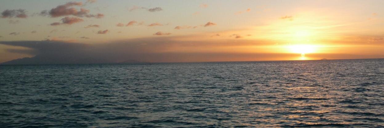 elliz's profile banner image